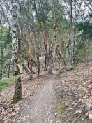 IMG_4067