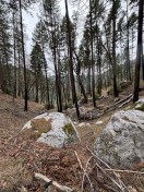 IMG_4084