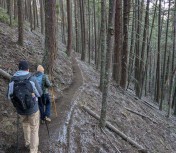 PXL_20250113_181312558