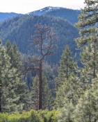 PXL_20250113_195704956