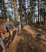 PXL_20250113_200137595