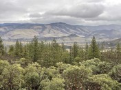 IMG_3979
