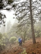 IMG_3991