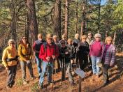 Group-