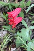 IMG_9777