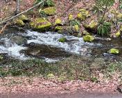 IMG_9798