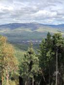 Ashland-Grizzley from Toothpick