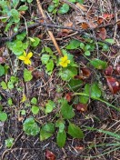 image004