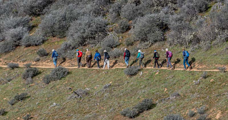 n_P1030104.jpg