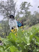 Pretties along the trail