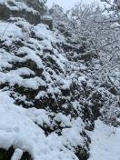 snow flocking the rock walls at tunnel entrance