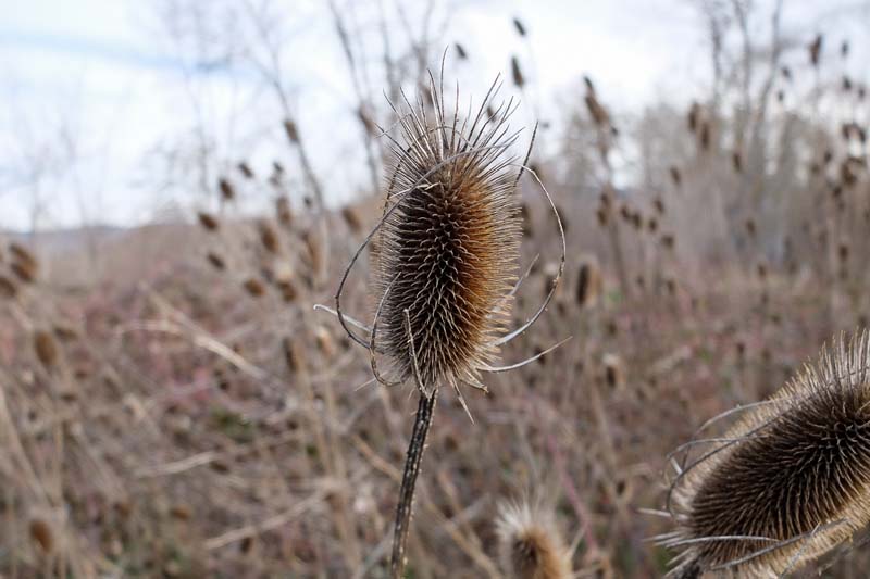 n_FX306376.jpg
