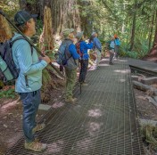 PXL_20250728_202317630.MP