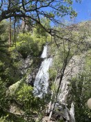 1601BA05-AC33-4C7A-B6B5-08CD765441DE