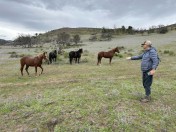 D5EA5AF6-EC0D-4B30-8AAF-CED680E4CC6B