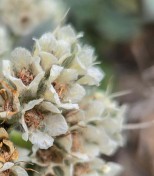 IMG_20260420_200743 (2)-1