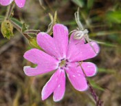 IMG_20260420_200756 (1) (2)-1