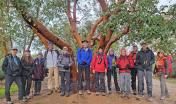 Group