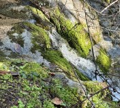 IMG_9448