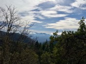 IMG_9458