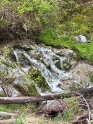 image005