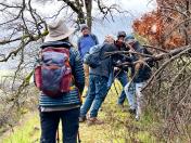 Moving tree off trail