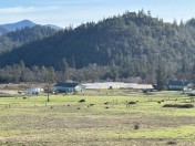 IMG_5167