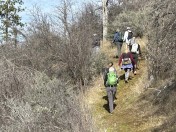 4BB5D4F4-B2F7-460D-8B54-1C49E0596084