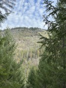 CA0D3157-693C-49B0-8F7D-15E3CCA8B2D6